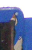 Fenster-01