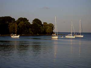 Hoorn