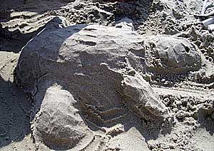 Sandskulpturen
